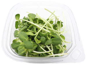 Harnessing the Mighty Power of Microgreens: 3 Health Benefits You Can’t Ignore